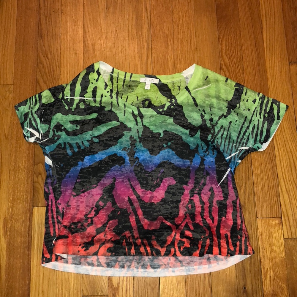 Rainbow Zebra Print Crop Top